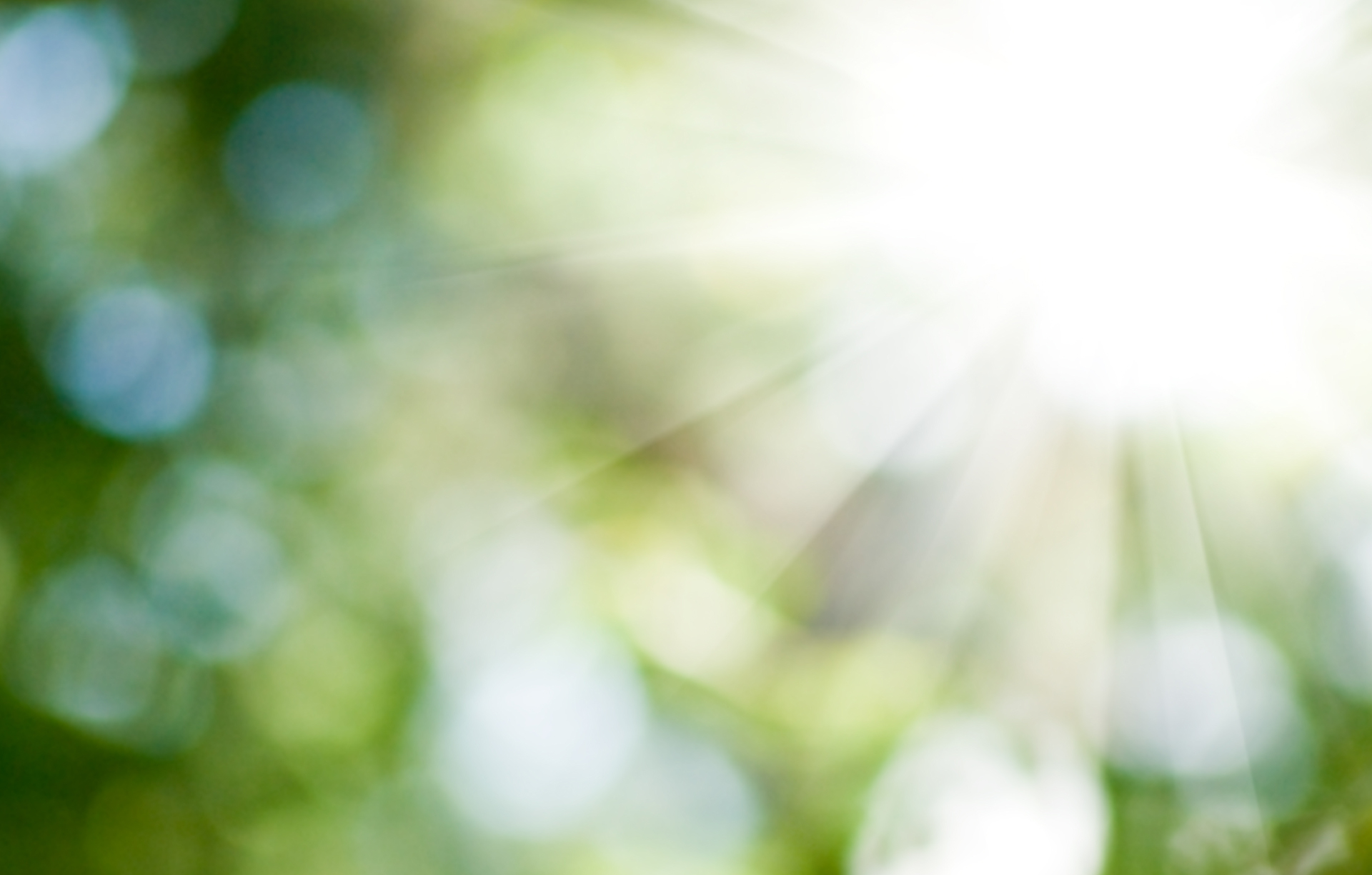 BLOG4